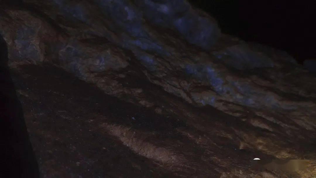 幻境森林大逃生